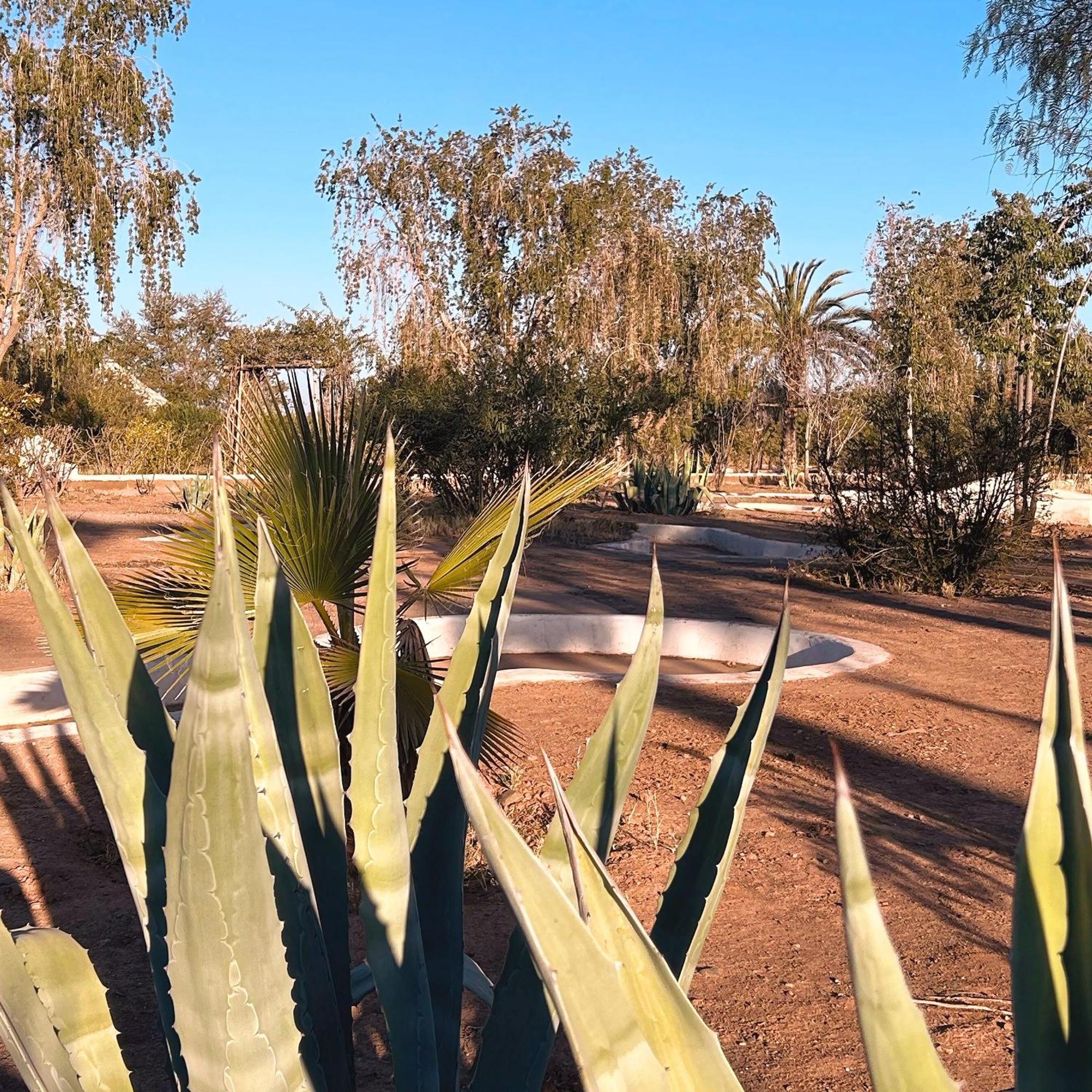 Les Jardins D'issil