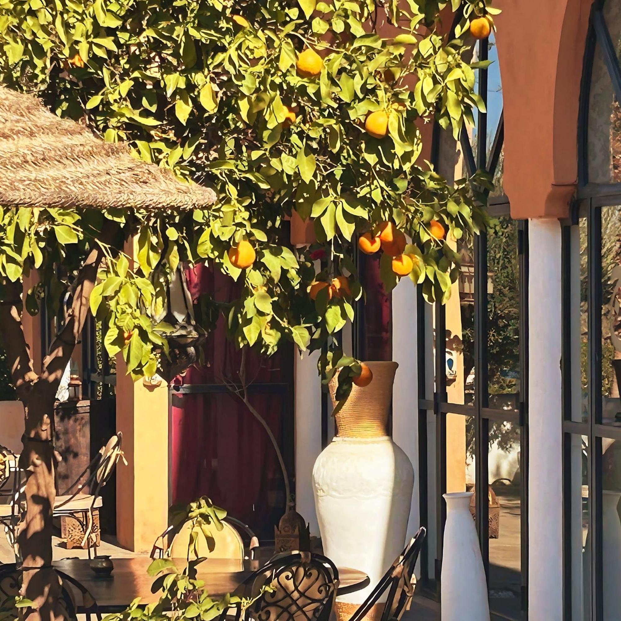 Les Jardins D'issil 3* El Aggada