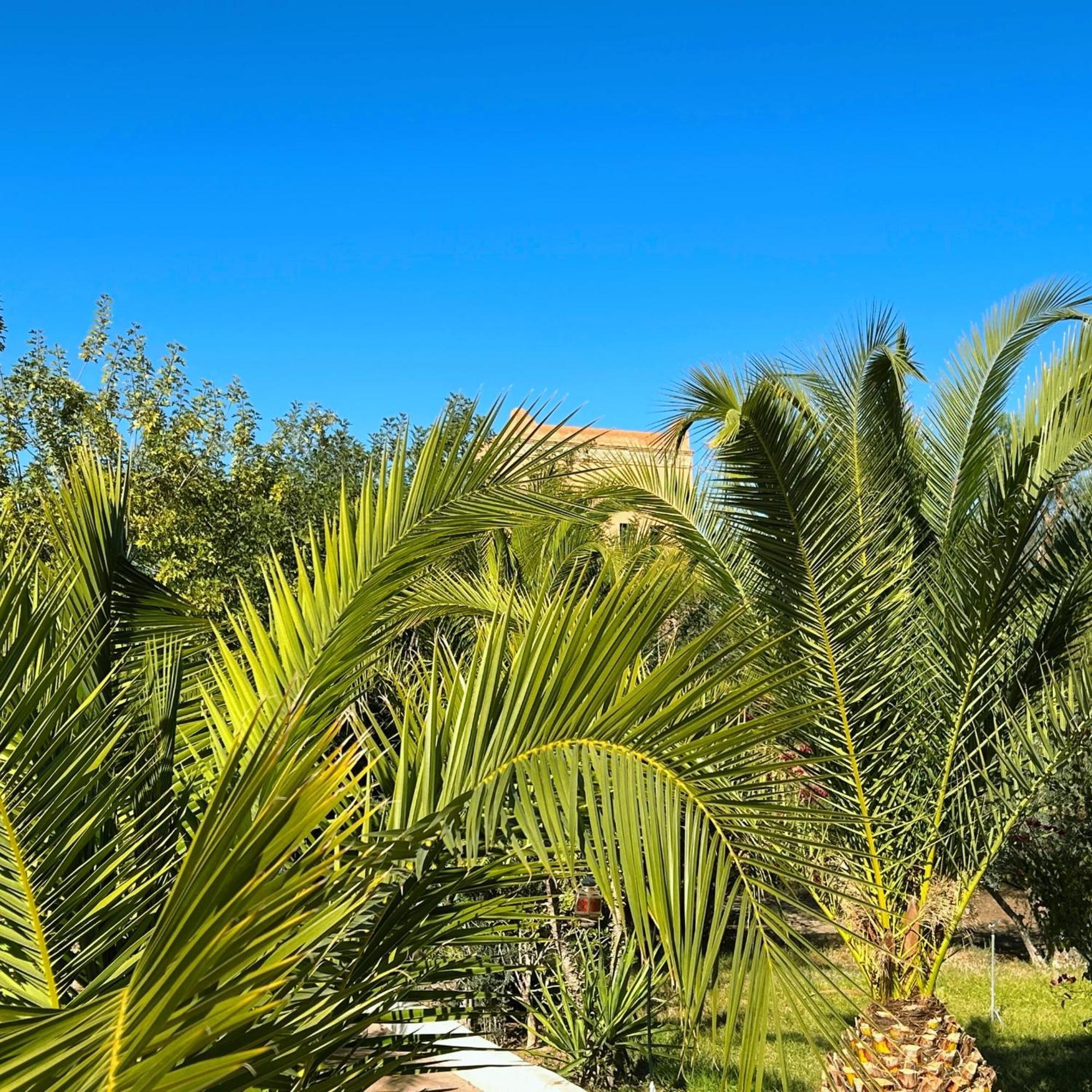 Les Jardins D'issil Guest house 3*
