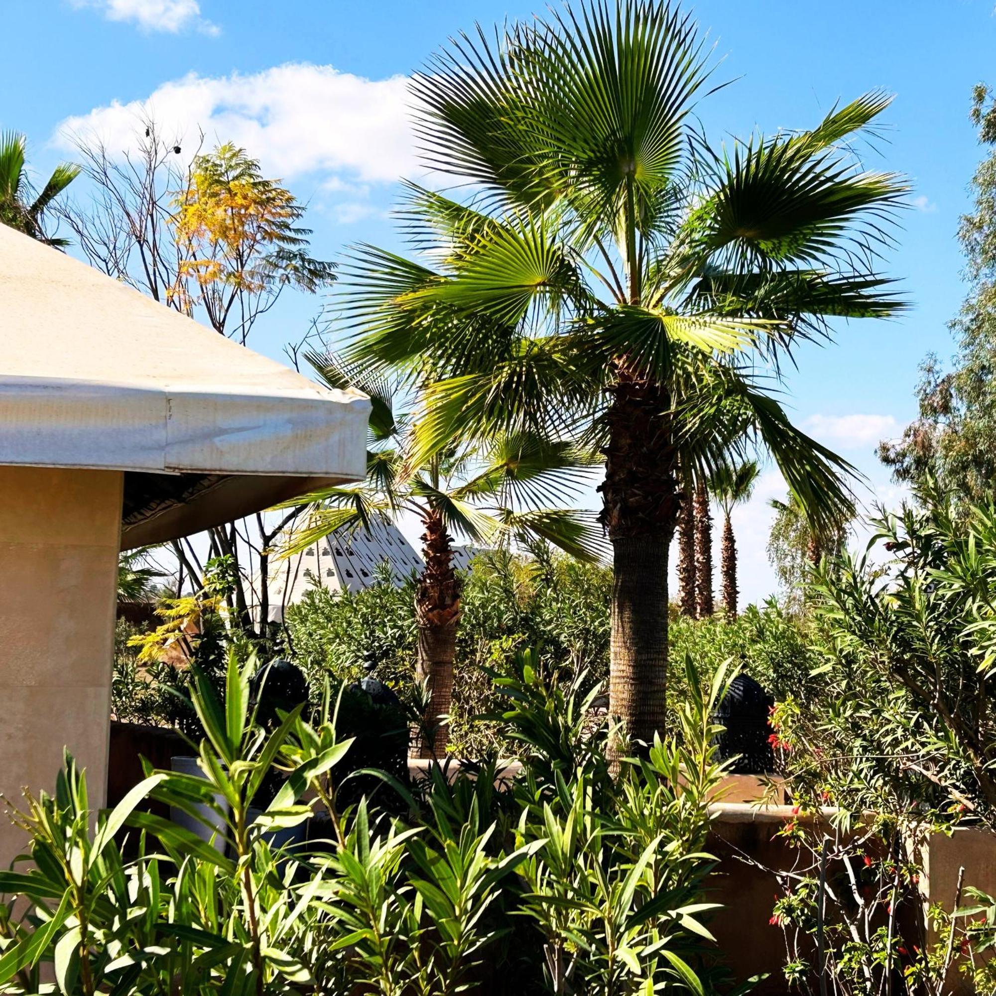 Les Jardins D'issil Guest house 3*