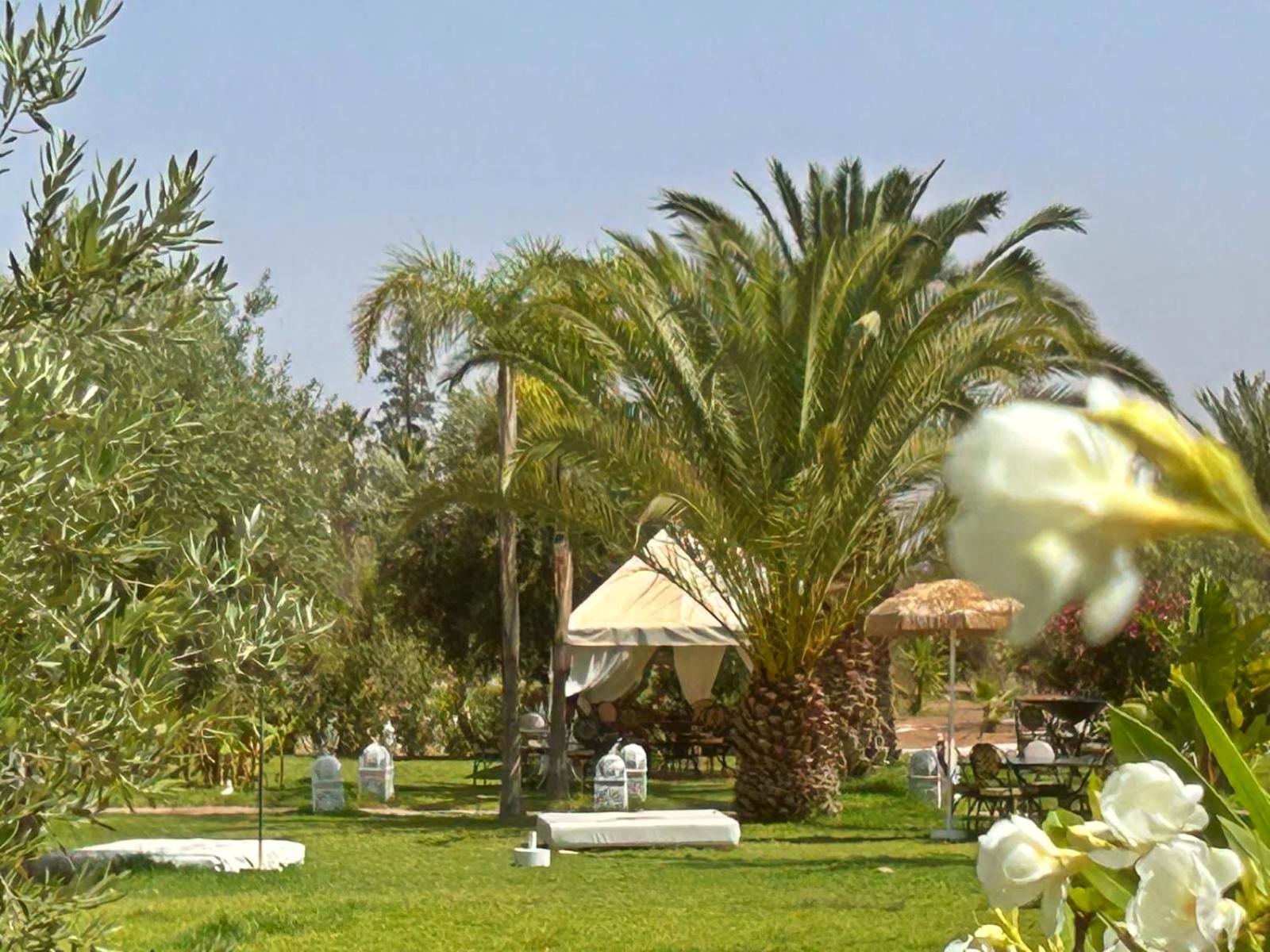Les Jardins D'issil El Aggada